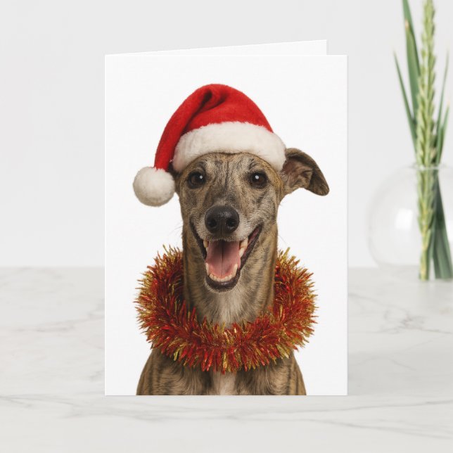 Getigerter Whippet mit Weihnachtsmannmütze als Wei Karte (Vorderseite)