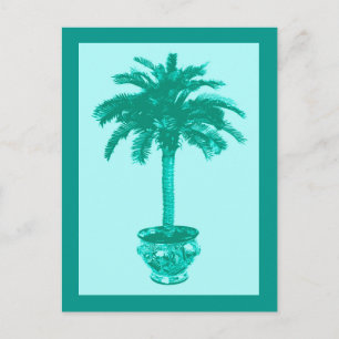 Getopfte Palme, Türkis und Aqua Postkarte