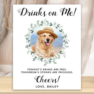 Getränke Gehen Auf Mich Hund Offene Bar Foto Haust Poster