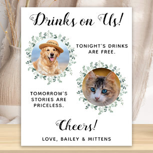 Getränke Gehen Auf Uns Hunde Open Bar Foto Tier Ho Poster
