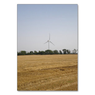 Getreidefeld auf dem Windpark Tischnummer