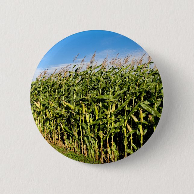 Getreidefeld und Himmel Button (Vorderseite)