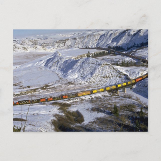 Getreidezug, Alberta, Kanada Winter Postkarte (Vorderseite)