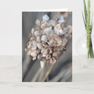 Getrocknete Hortensie Naturfotografie Blank Karte