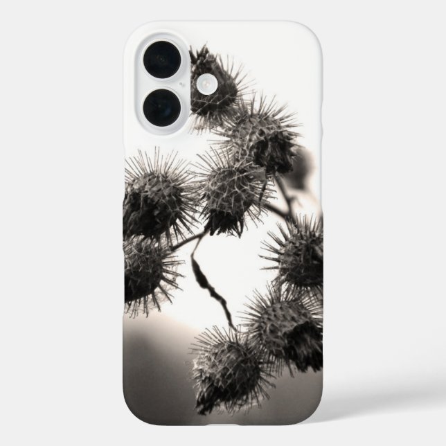 Getrocknete Klette iPhone 16 Hülle (Rückseite)