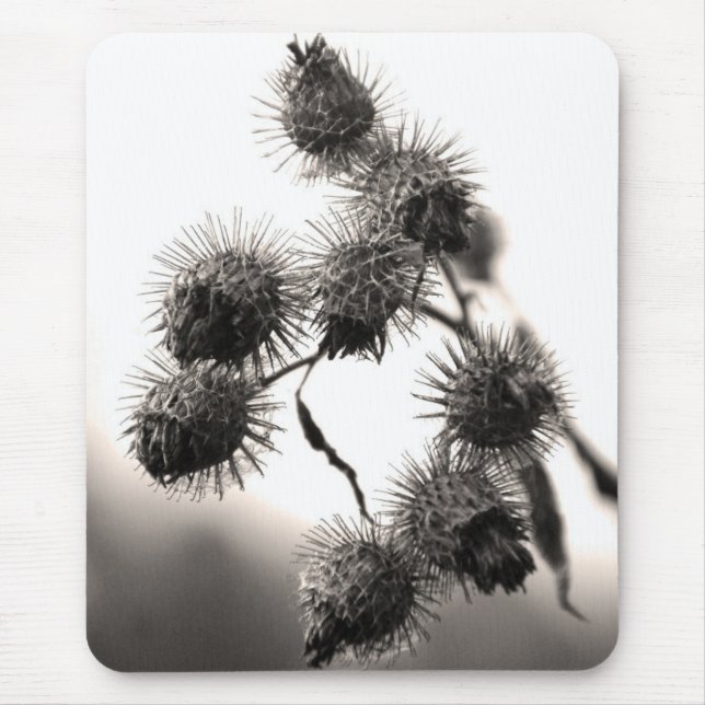 Getrocknete Klette Mousepad (Vorne)