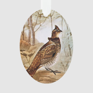 Getrumpftes Waldhuhn Ornament