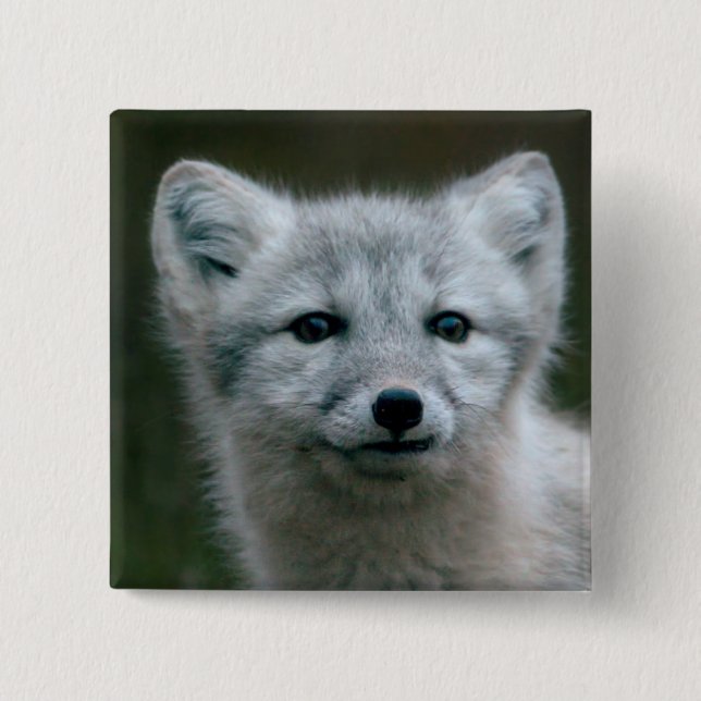 Getty Bilder| arktischer Fox-Ausrüstung Button (Vorderseite)