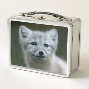 Getty Bilder arktischer Fox-Ausrüstung Metall Lunch Box