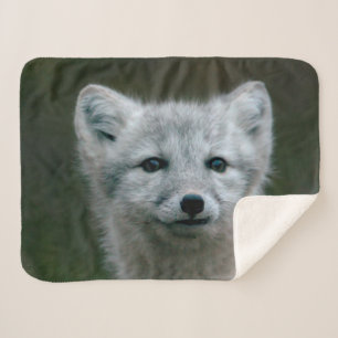 Getty Bilder arktischer Fox-Ausrüstung Sherpadecke