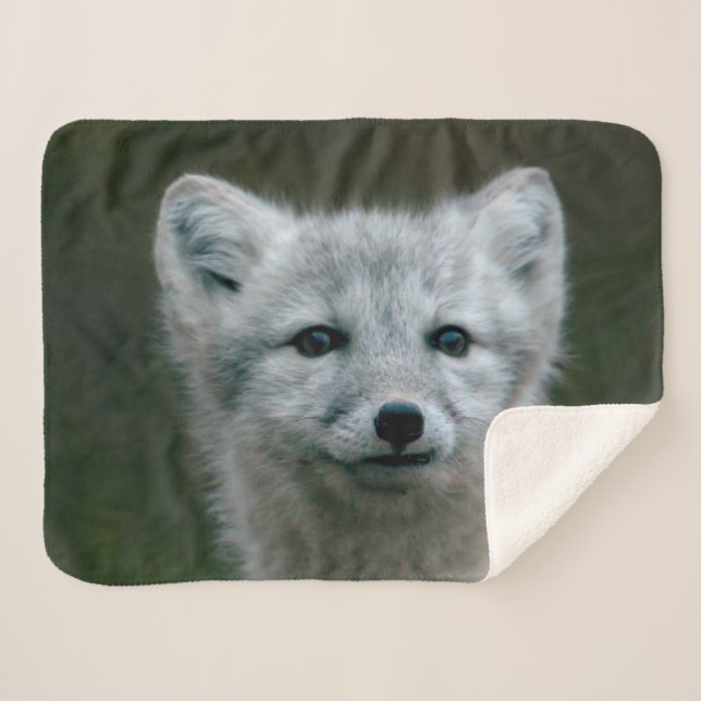 Getty Bilder| arktischer Fox-Ausrüstung Sherpadecke (Vorderseite (Horizontal))