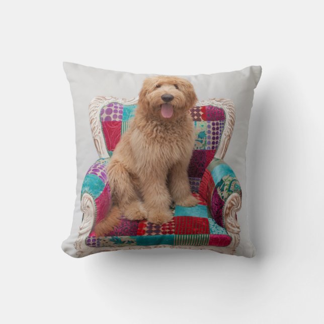 Getty Bilder | niedliches Goldendoodle Kissen (Vorderseite)