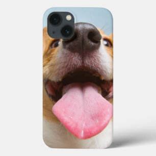 Getty Bilder sehr glücklicher Corgi Case-Mate iPhone Hülle