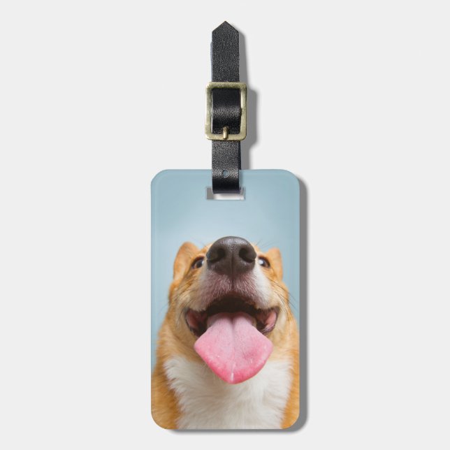 Getty Bilder| sehr glücklicher Corgi Gepäckanhänger (Vorderseite vertikal)
