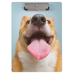 Getty Bilder sehr glücklicher Corgi Klemmbrett