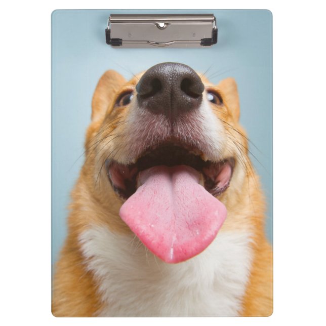 Getty Bilder| sehr glücklicher Corgi Klemmbrett (Vorderseite)