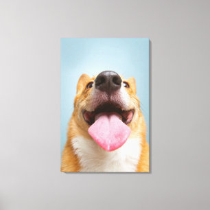 Getty Bilder  sehr glücklicher Corgi Leinwanddruck