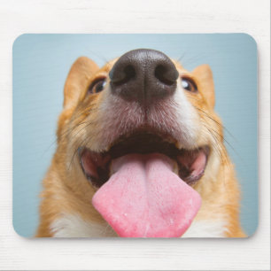 Getty Bilder  sehr glücklicher Corgi Mousepad