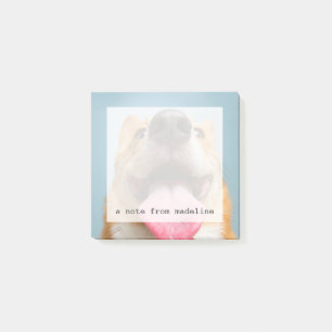 Getty Bilder  sehr glücklicher Corgi Post-it Klebezettel