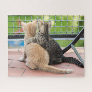 Getty Bilder zwei Kätzchen auf einem Balkon
