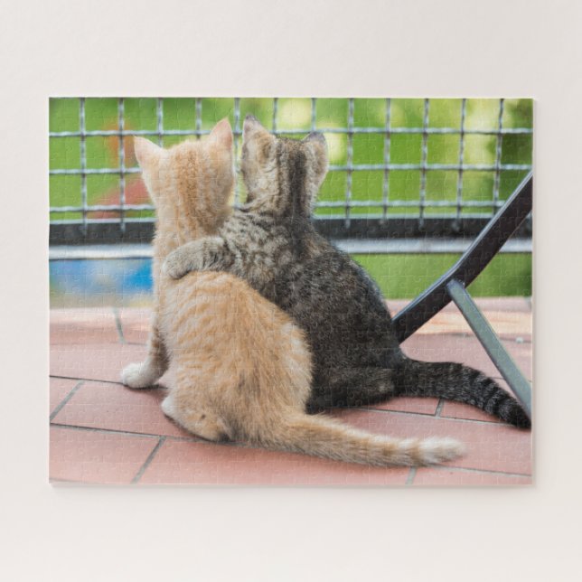 Getty Bilder | zwei Kätzchen auf einem Balkon (Horizontal)