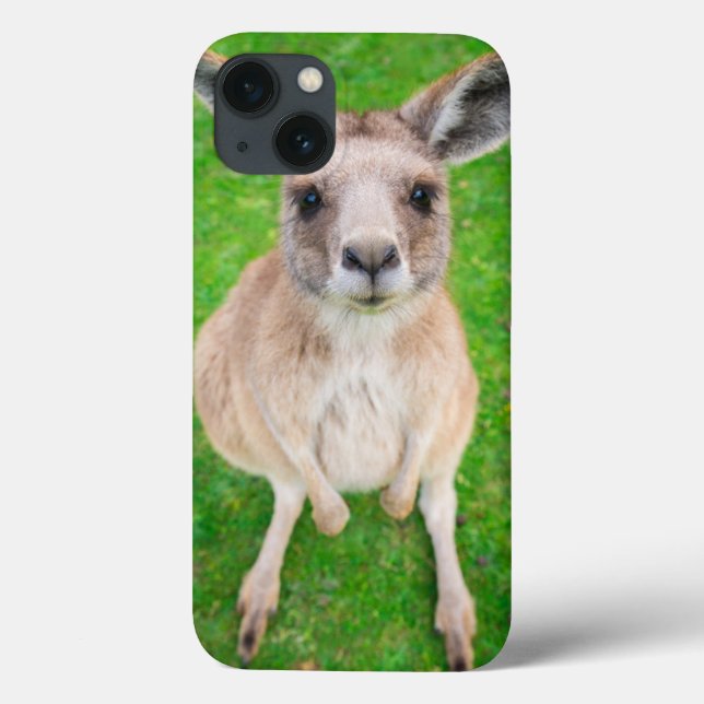 Getty Images | Baby Kangaroo Case-Mate iPhone Hülle (Rückseite)