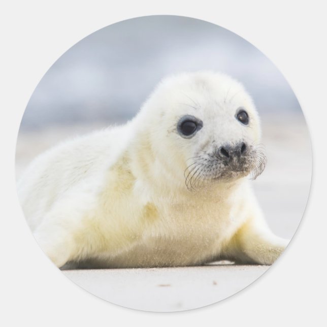 Getty Images | Baby-Siegel Runder Aufkleber (Vorderseite)