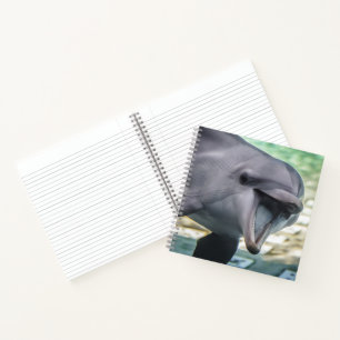 Getty Images Delphin Notizbuch