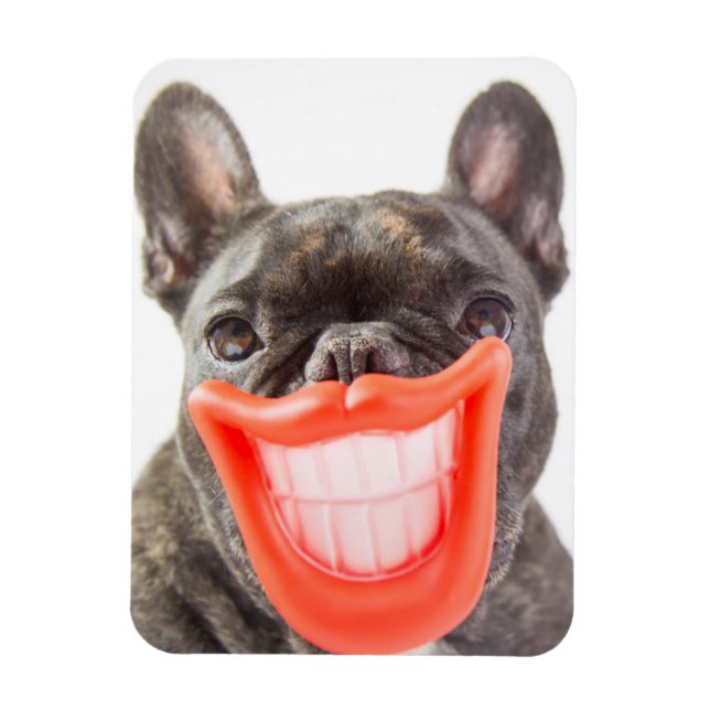 Getty Images | Ein lächelnder Hund Magnet (Vertikal)