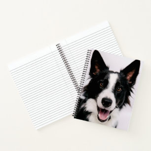 Getty Images Eine lächelnde Grenzkollie Notizbuch