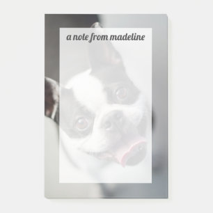 Getty Images Französischer Bulldog Post-it Klebezettel