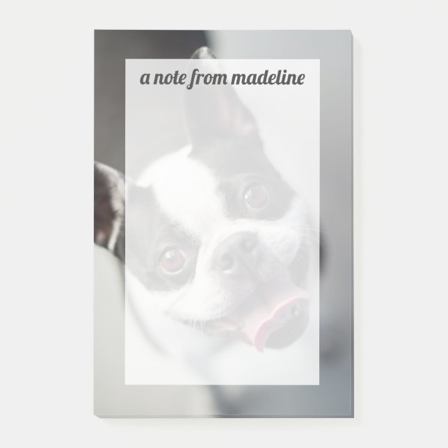 Getty Images| Französischer Bulldog Post-it Klebezettel (Vorderseite)