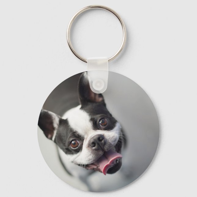 Getty Images | French Bulldog Schlüsselanhänger (Vorderseite)