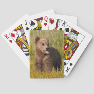 Getty Images Funny Baby Bear Spielkarten