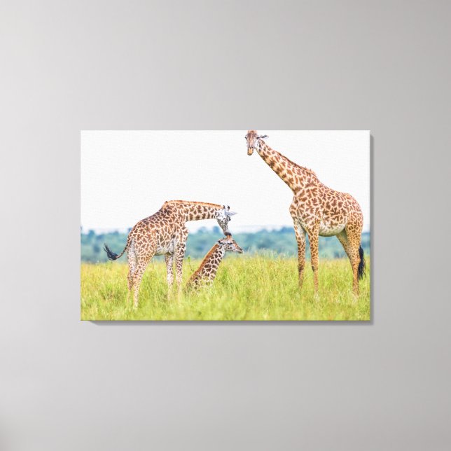 Getty Images | Giraffenfamilie Leinwanddruck (Vorderseite)