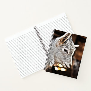 Getty Images   Kleine Ziege Notizbuch