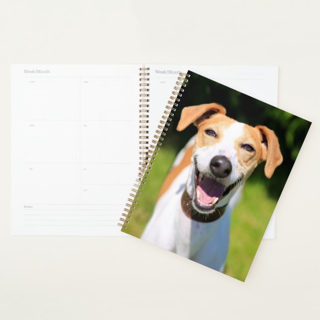 Getty Images | Lachhund Planer (Anzeige)