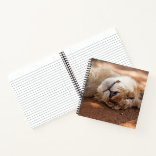 Getty Images   Lion Cub Notizbuch