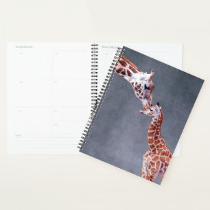 Getty Images Mutter und Baby Giraffe Planer