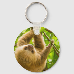 Getty Images   Nach oben Schlüsselanhänger
