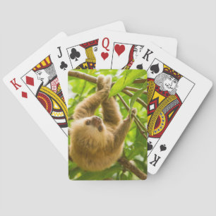 Getty Images   Nach oben Spielkarten