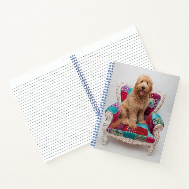 Getty Images | Niedlich Goldendoodle Notizbuch (Innenseite)