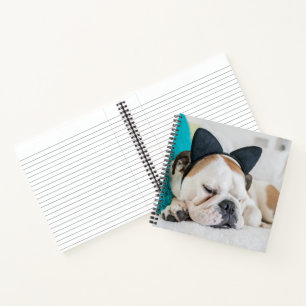 Getty Images Schlafzunge Hund mit Kopfband Notizbuch