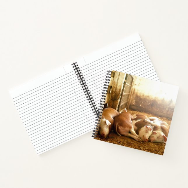 Getty Images | Schnappschweine Notizbuch (Innenseite)