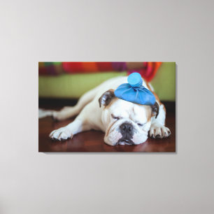 Getty Images   Sick Young Puppy Leinwanddruck