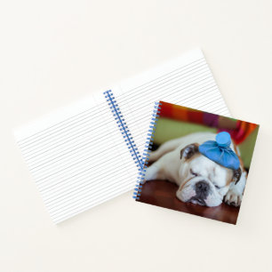Getty Images Sick Young Puppy Notizbuch
