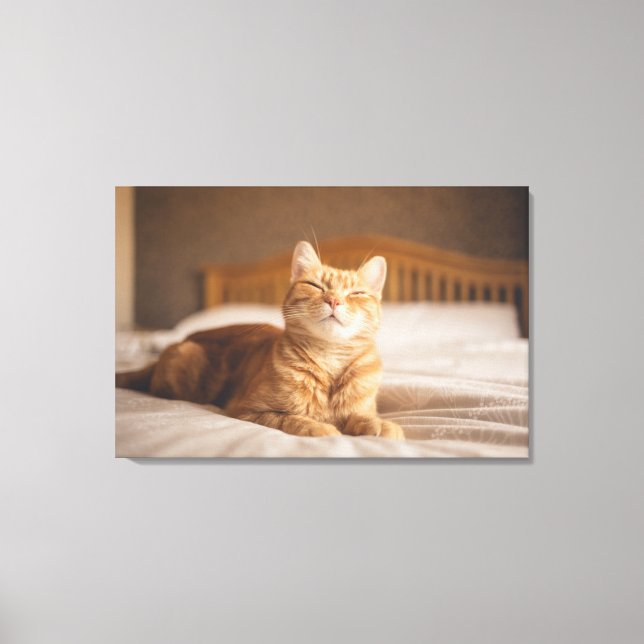 Getty Images | Sleepy Cat Leinwanddruck (Vorderseite)