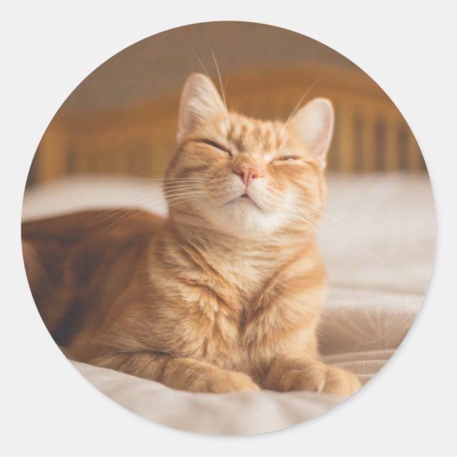 Getty Images | Sleepy Cat Runder Aufkleber (Vorderseite)