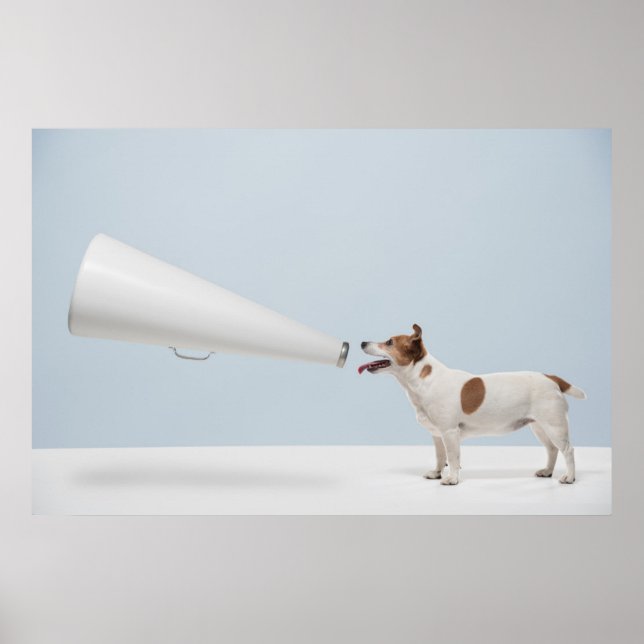 Getty Images | Sprechende Hunde Poster (Vorne)