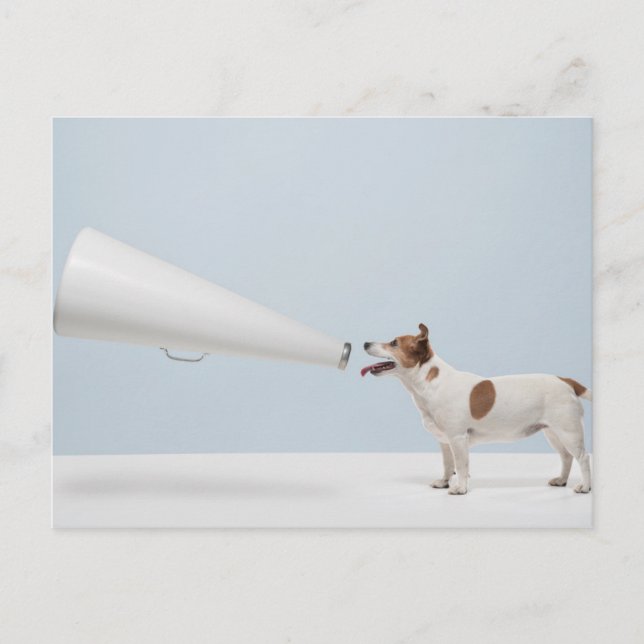 Getty Images | Sprechende Hunde Postkarte (Vorderseite)